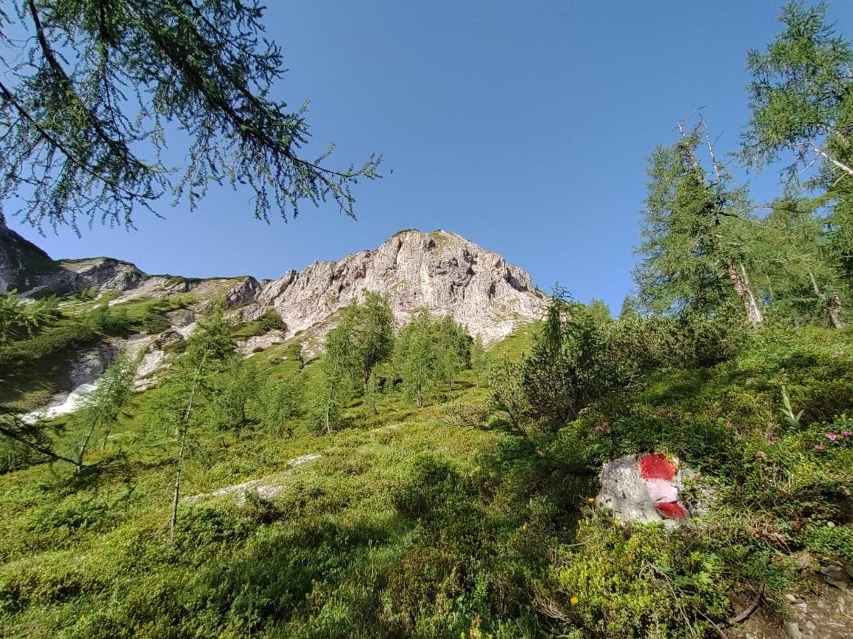 Firstpeak Chalets ツァウヘンゼー エクステリア 写真